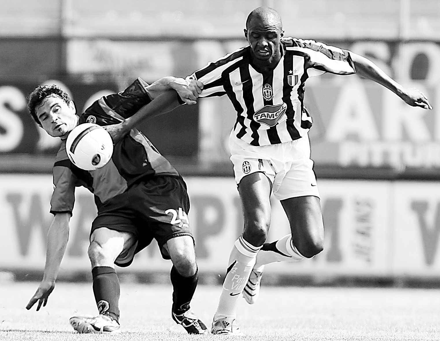 无异于雪上 无异于雪上